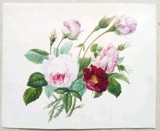 Tableau Ancien Gouache Papier Vers 1850 Roses Fleurs Chardon
