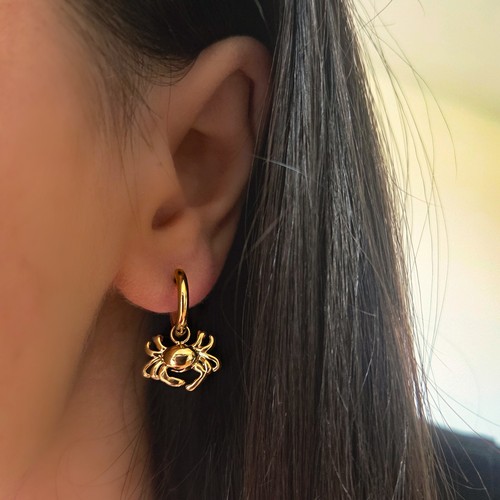 Boucles oreilles créoles - d'oreilles,
