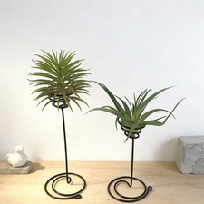 Porte-plante pneumatique en