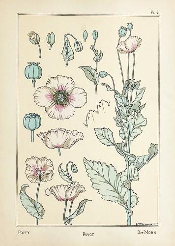 Original 1896 art nouveau - art,