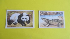 animaux sauvages lot 2  images écolier  éditions éducatives série A 6,5cm/9,5 cm