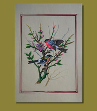 Peinture miniature oiseau fait