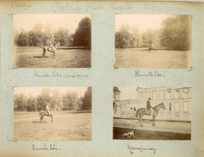 France, Pur sang célèbres - Poulains Haras à Noaille et Maintenon  Vintage citra