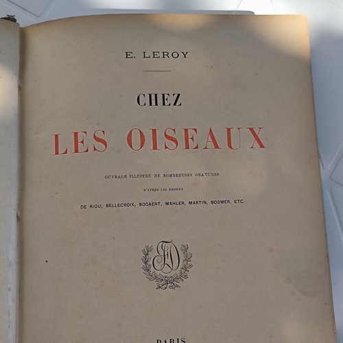 Chez les oiseaux - chez,