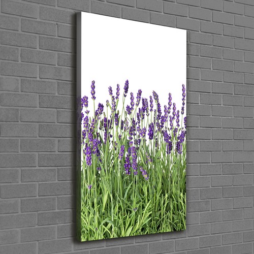 Tulup tableau sur toile - tulup,
