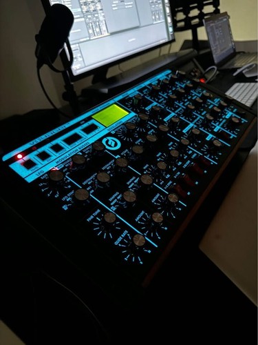 Moog minimoog voyager - rme, rack