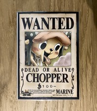 One Piece Wanted Posters
