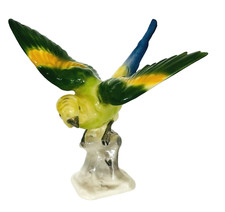  porcelaine polychrome représentant une perruche ondulée cachet. XX siècle .