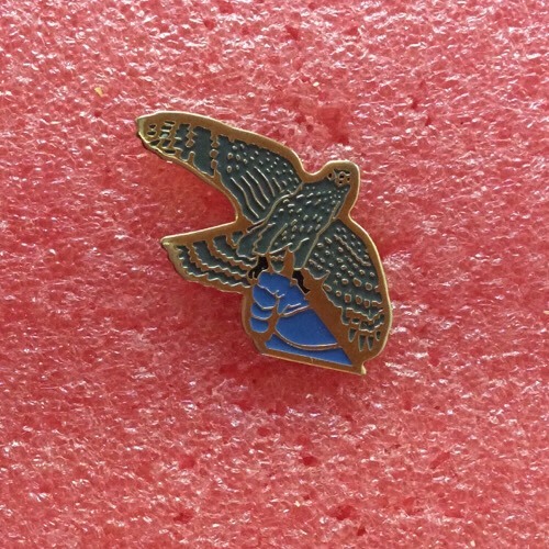 T23 pins fauconnerie - pins,