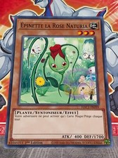 Carte YU GI OH EPINETTE LA