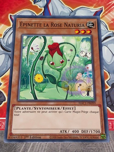 Carte epinette la - carte, oh