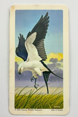 North american wildlife - north,