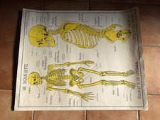 Lot de 9 ANCIENNE AFFICHE SCOLAIRE ROSSIGNOL corps humain .