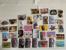 IMAGE PANINI AUTOCOLLANT
