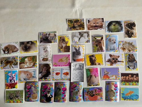 Image panini autocollant - panini,