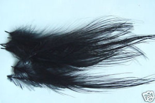 Plumes spey hackle - 12,