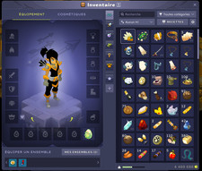 Compte Dofus CRA LVL 200 no stuff serveur IMAGIRO