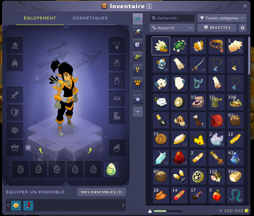 Compte dofus cra lvl 200 - compte, no