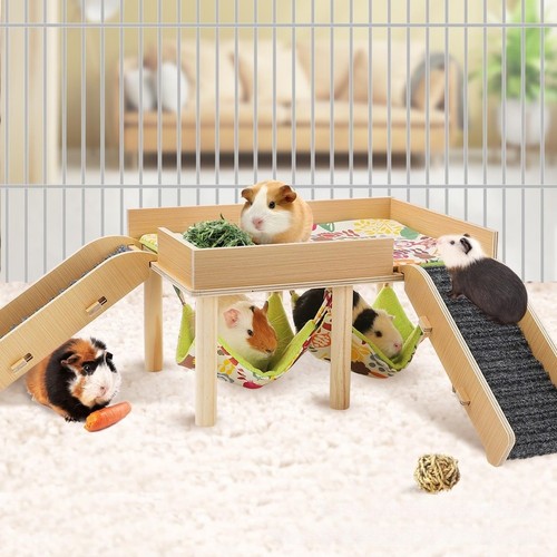 Cochon inde double repos - d'inde,