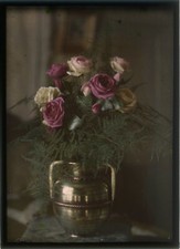 AUTOCHROME (13x18) Nature morte, Beau bouquet de roses & canne à lait en laiton