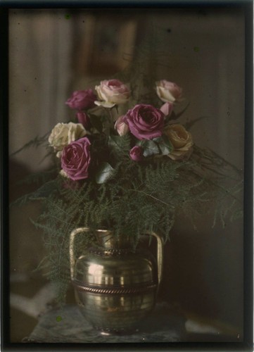 Autochrome nature - autochrome, (13x18)