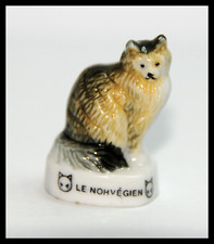 FÈVE SUR LES ANIMAUX "LE CHAT NORVÉGIEN" P