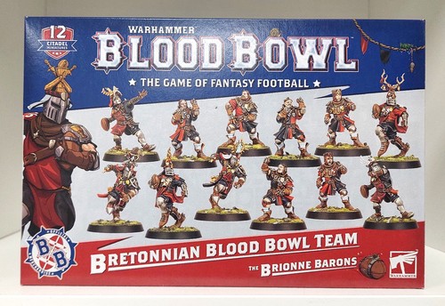 Warhammer bretonnian team - bretonnian,