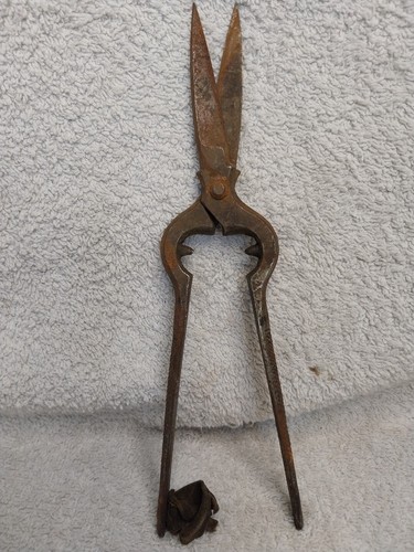 Secateur vigneron outil - vigneron,