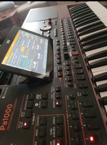 Korg pa1000 key - 61-key, midi
