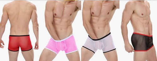 Boxer transparent xl - l,