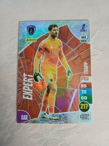 Panini adrenalyn ligue1 - panini,