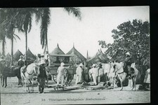 MADEGASCAR TIRAILLEURS