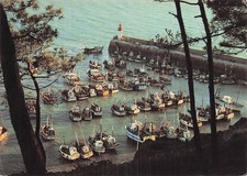 22 ERQUY LA DIGUE ET LE PORT