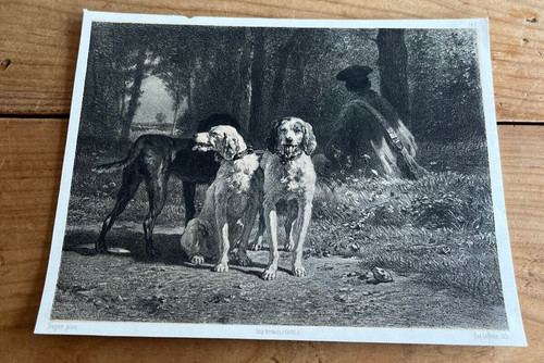 Gravure ancienne chien - gravure,