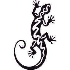 Salamandre autocollant sticker