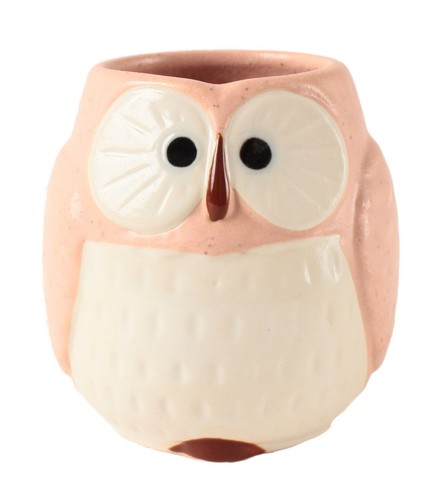 Tasse thé yunomi chawan en - thé,