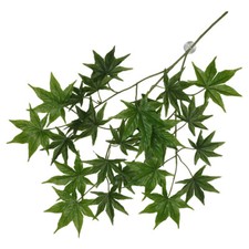 Terrarium Plante Suspendue