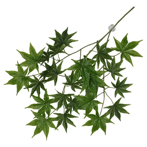 Terrarium plante suspendue - terrarium,