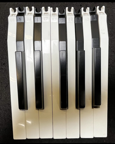 Kurzweil keyboard pc88 set - keyboard,