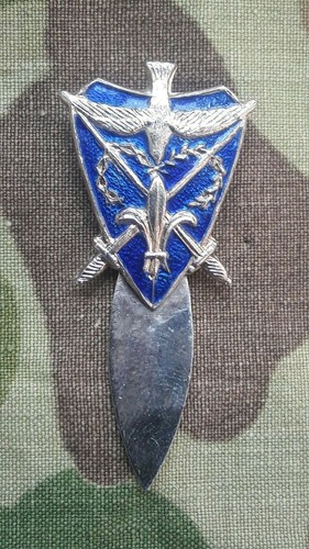 Insigne camelots roi - camelots,