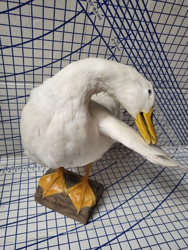 Vtg duck goose - vtg,