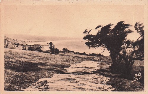 Cherbourg cotentin petit - 50,