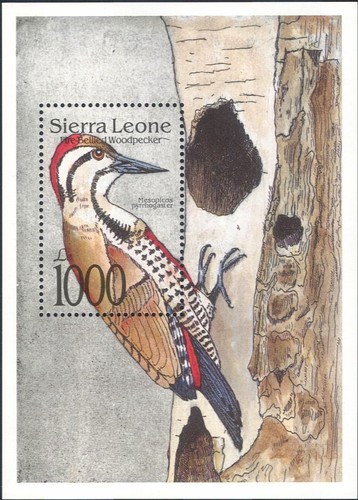 Sierra leone 1992 - leone, pivert