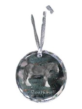 Cheval Shire médaille en