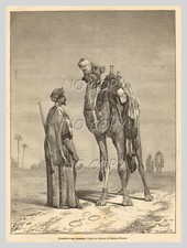 1881 : ILLUSTRATION / GRAVURE