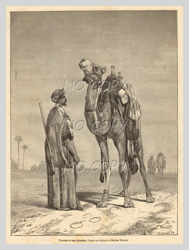 1881 illustration gravure - :,