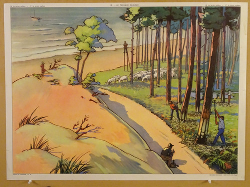 Affiche scolaire rossignol le - scolaire,