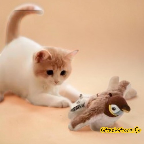 Jouet chat interactif oiseau - chat,