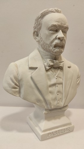 Buste louis pasteur - buste, de