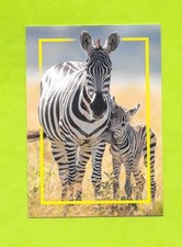 Carte incroyable animaux du